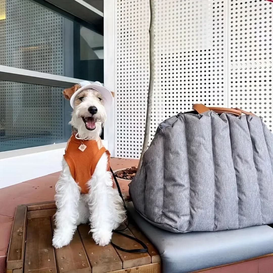 Sac de voyage imperméable pour animaux de compagnie