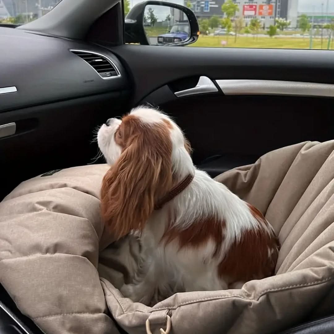Sac de voyage imperméable pour animaux de compagnie