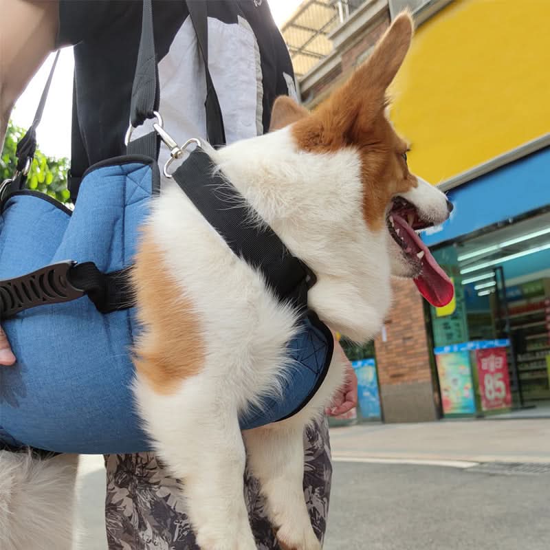 Ondersteuningsharnas voor honden - HarnCare