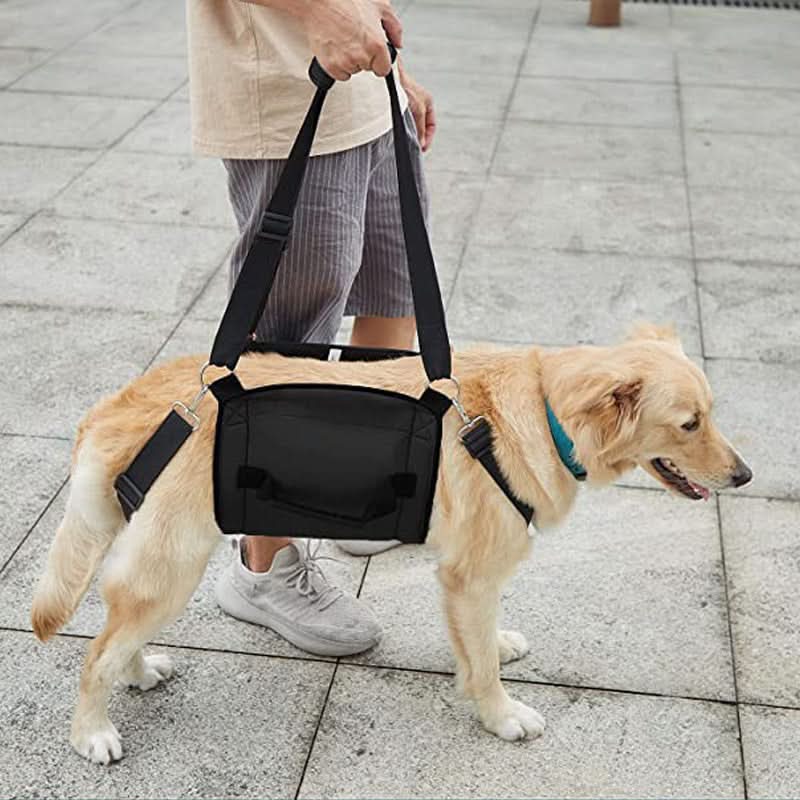 Ondersteuningsharnas voor honden - HarnCare