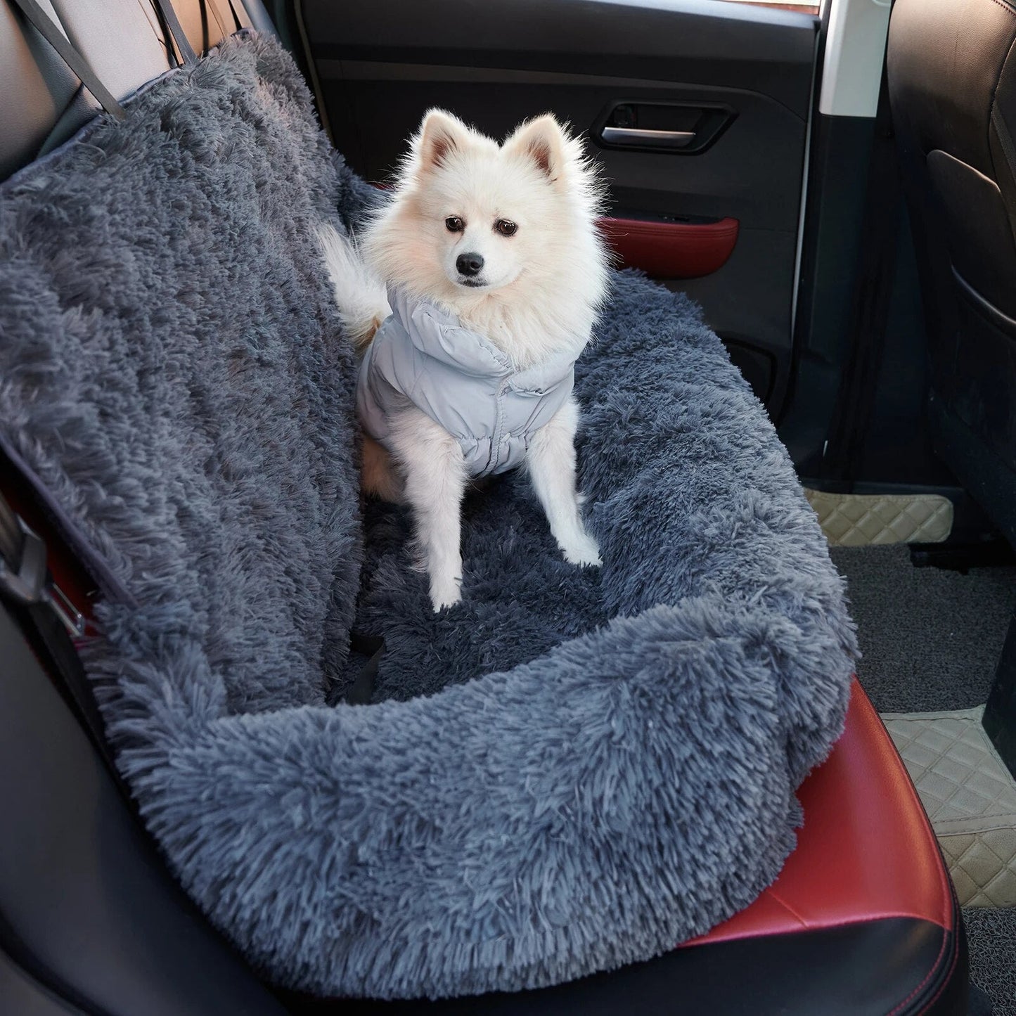 Pluizige Kalmerende Honden mand voor de autostoel