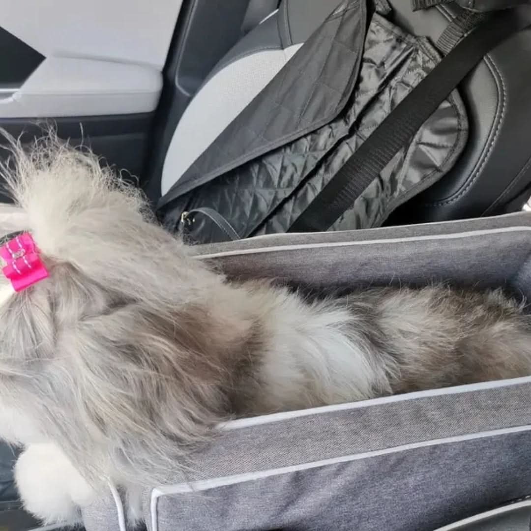 Panier/sac portable pour chien