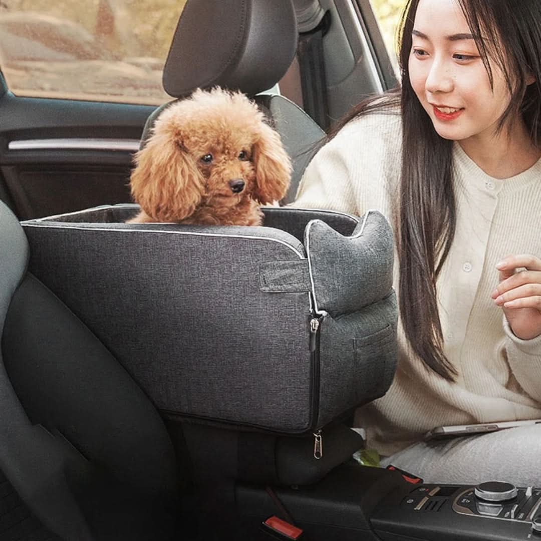 Panier/sac portable pour chien