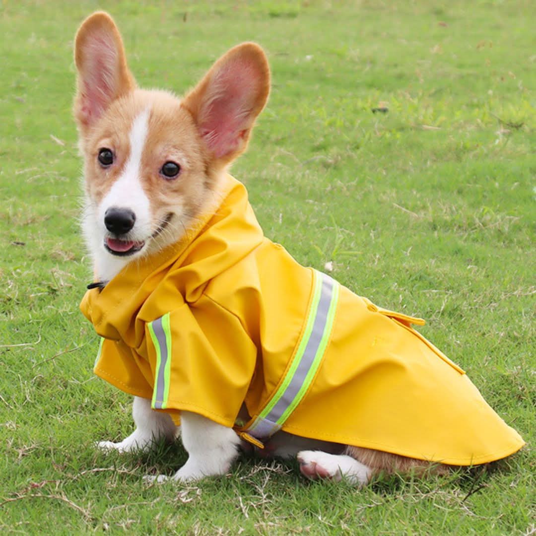 Roudy - Waterproof Mackintosh - Comfortable and durable 