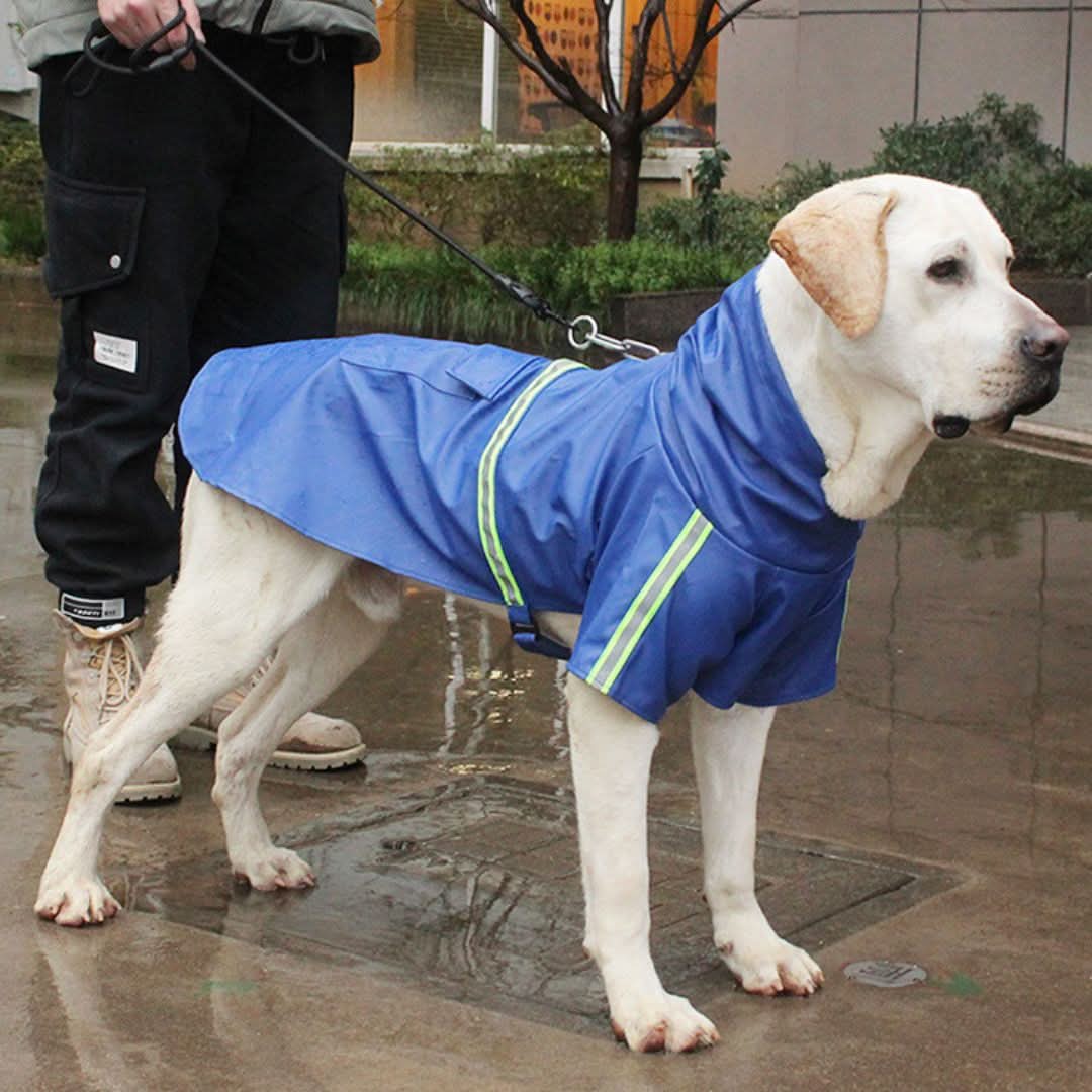 Roudy - Waterproof Mackintosh - Comfortable and durable 