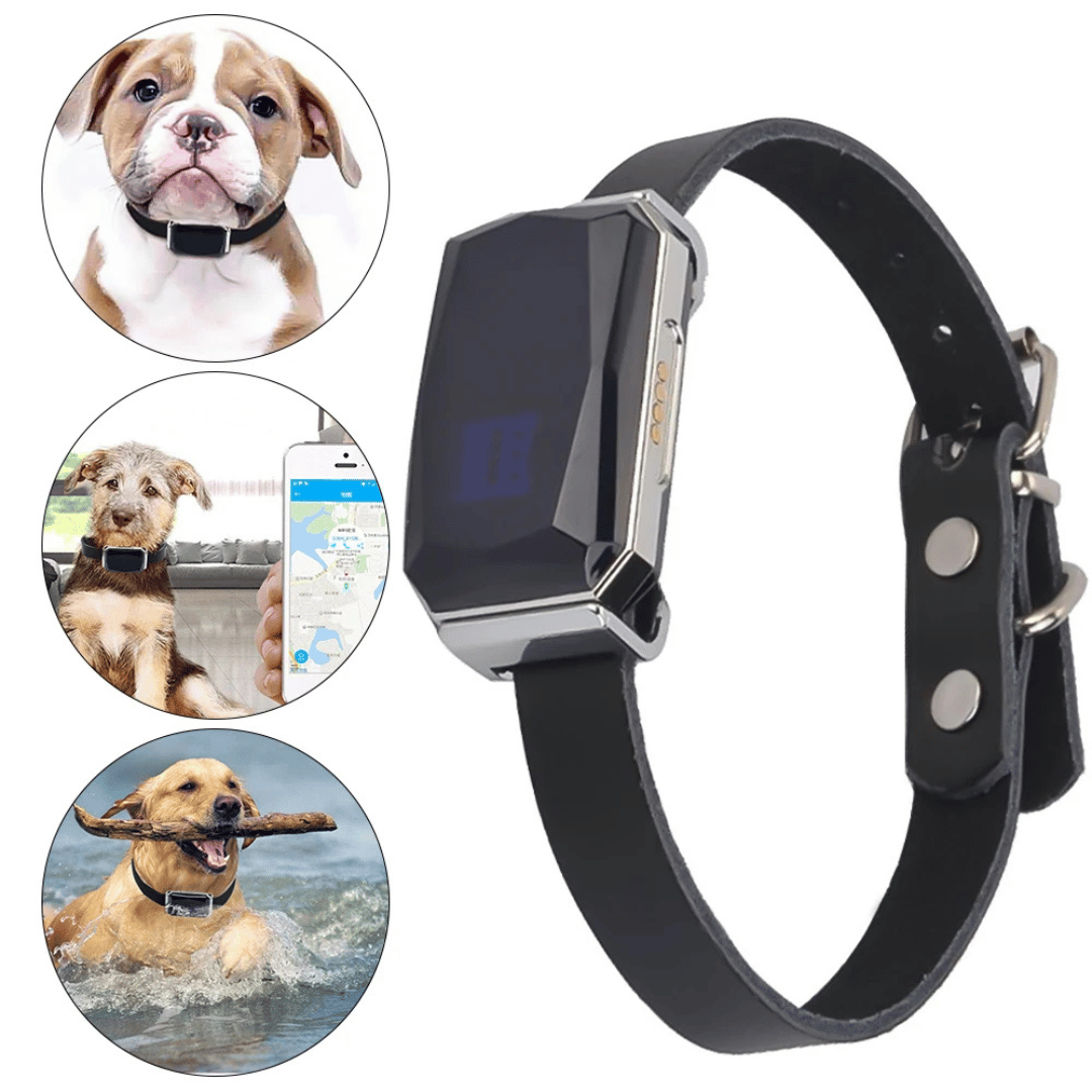 Mini GPS Tracker | Real-Time - Waterproof - Pets and Children