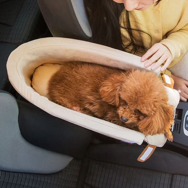 Panier de voyage portable pour petits chiens