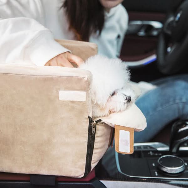 Panier de voyage portable pour petits chiens