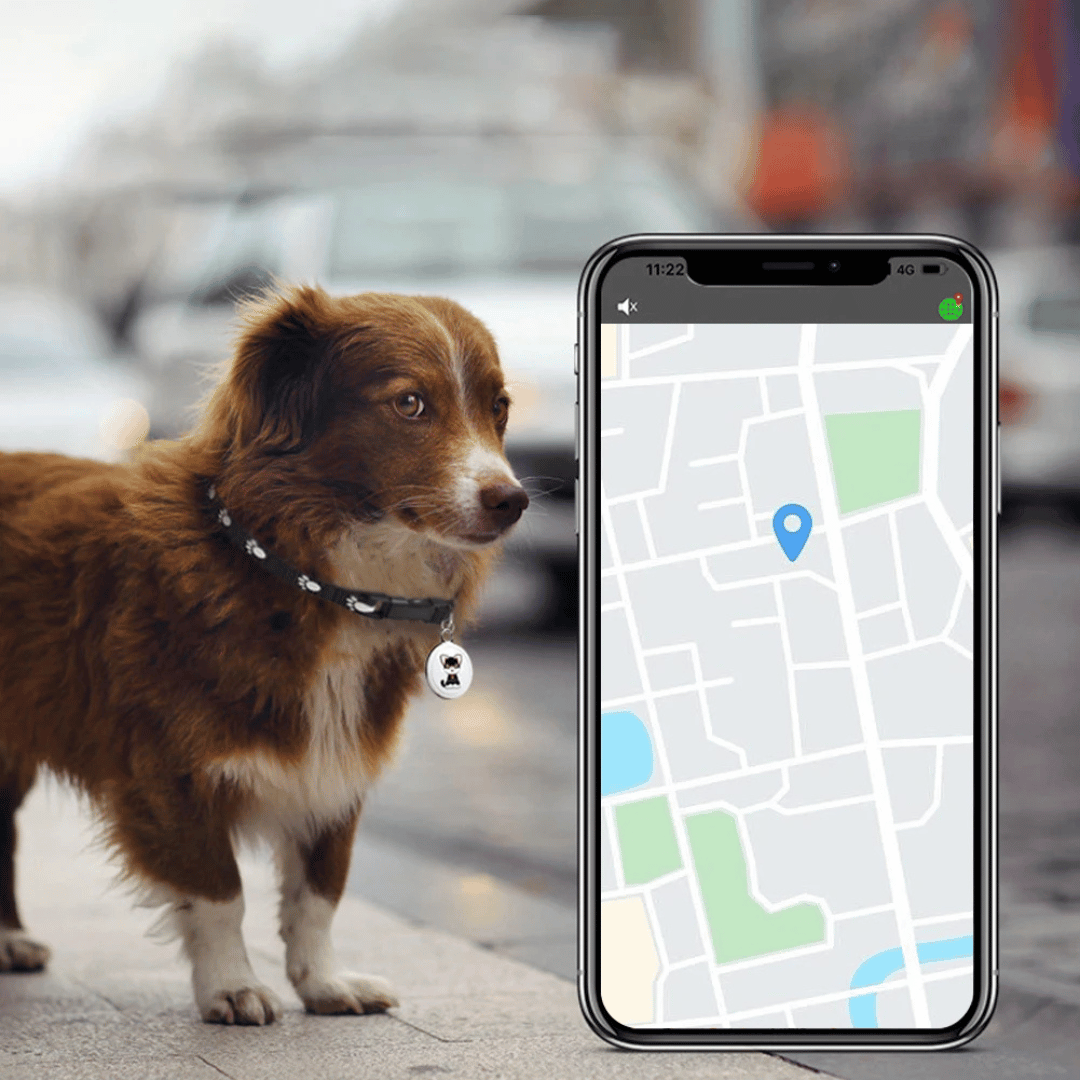 Pet GPS Tracker - Honden en Katten - Android en iOS